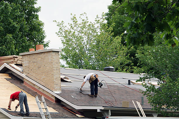 Best Roof Waterproofing Services  in Lansing, MI
